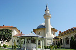 BAB-I RIZA